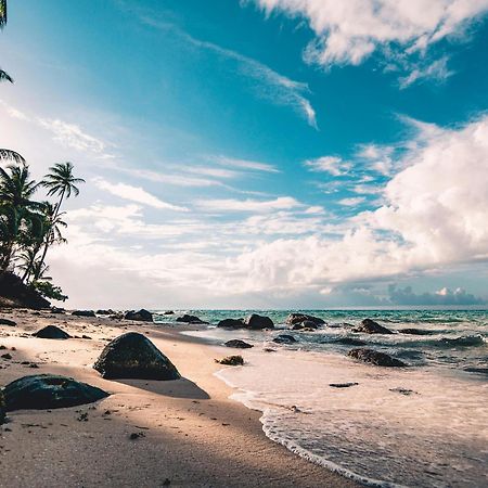 Villa Caylee Caribbean Estates - Ultra-Luxurious - Rimas Interiors Designs - Private Beachfront Escape - Premium Serviced For 8 Guests Port Edward Eksteriør billede